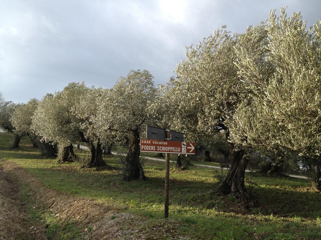 Podere Schioppello Casale Con Appartamenti Privati Cibottola Ruang foto