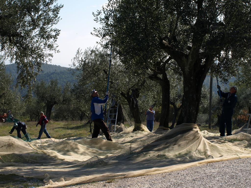 Podere Schioppello Casale Con Appartamenti Privati Cibottola Bagian luar foto