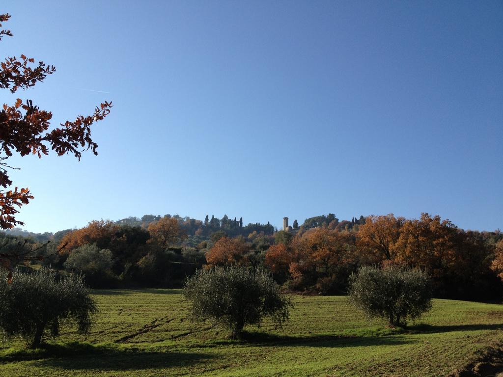 Podere Schioppello Casale Con Appartamenti Privati Cibottola Bagian luar foto