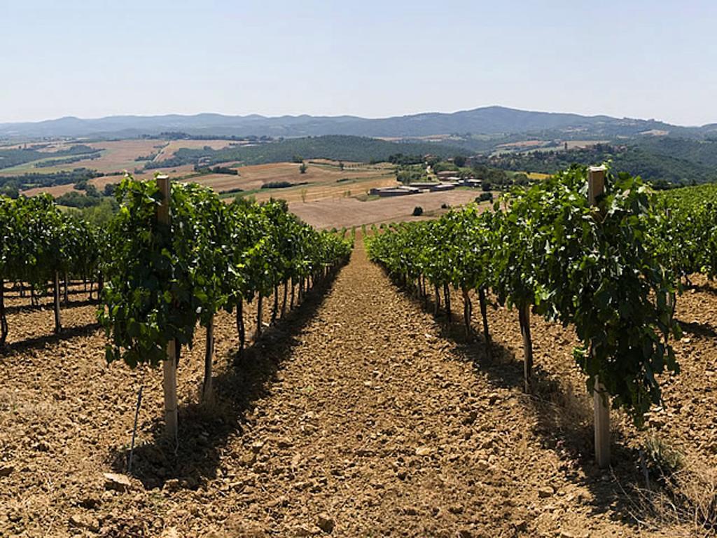 Podere Schioppello Casale Con Appartamenti Privati Cibottola Bagian luar foto