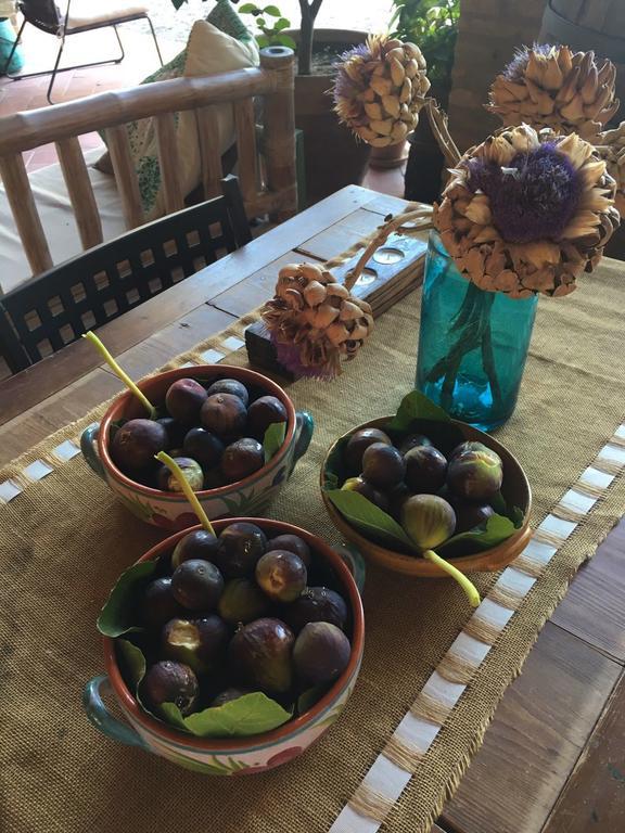 Podere Schioppello Casale Con Appartamenti Privati Cibottola Bagian luar foto