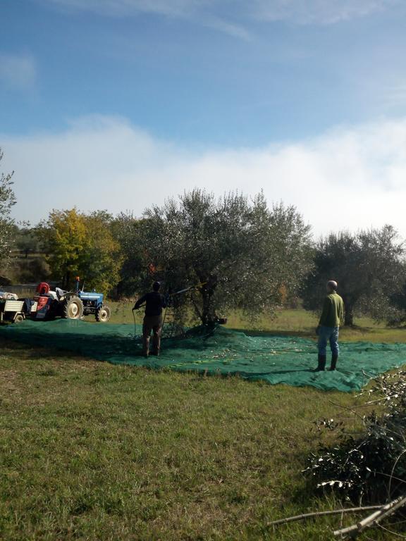 Podere Schioppello Casale Con Appartamenti Privati Cibottola Bagian luar foto